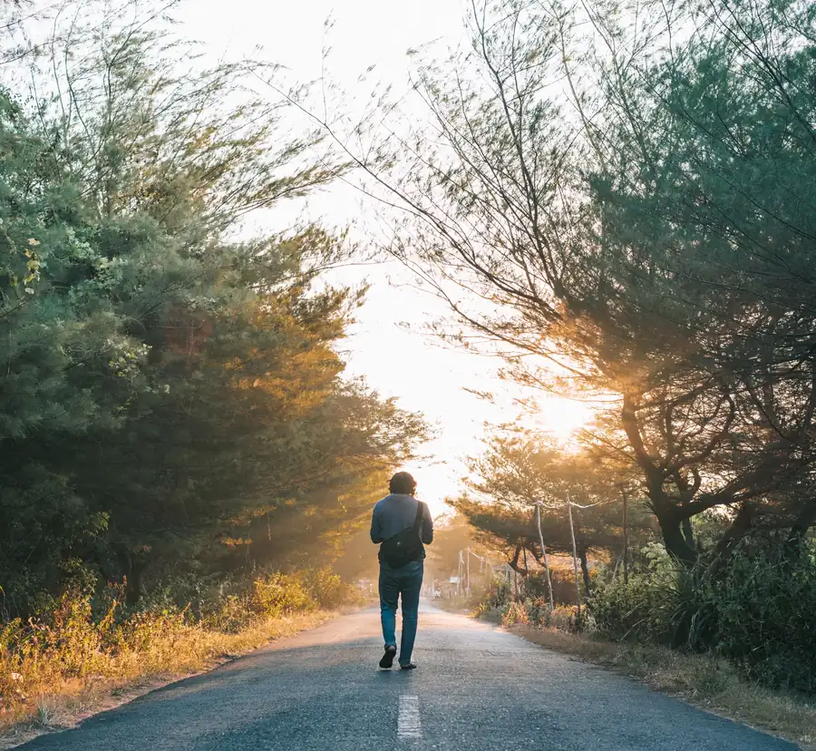Man walking down a sunlit tree-lined path in the morning