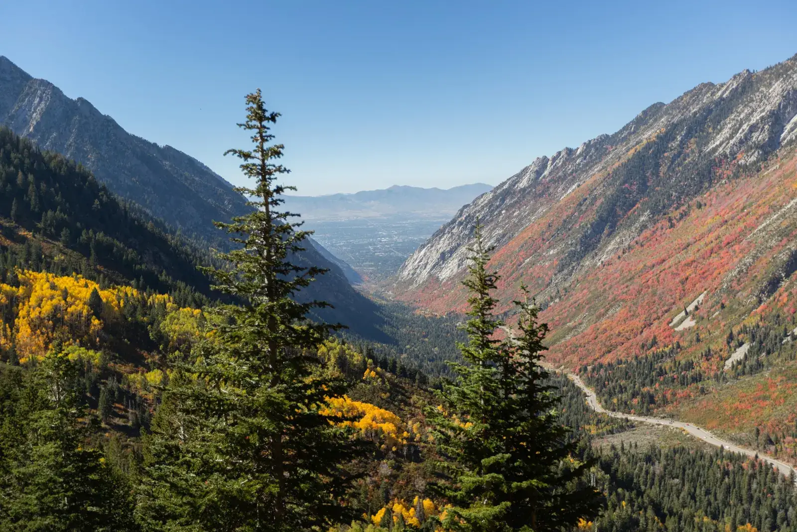 Mountain canyon with autumn color and evergreen trees
